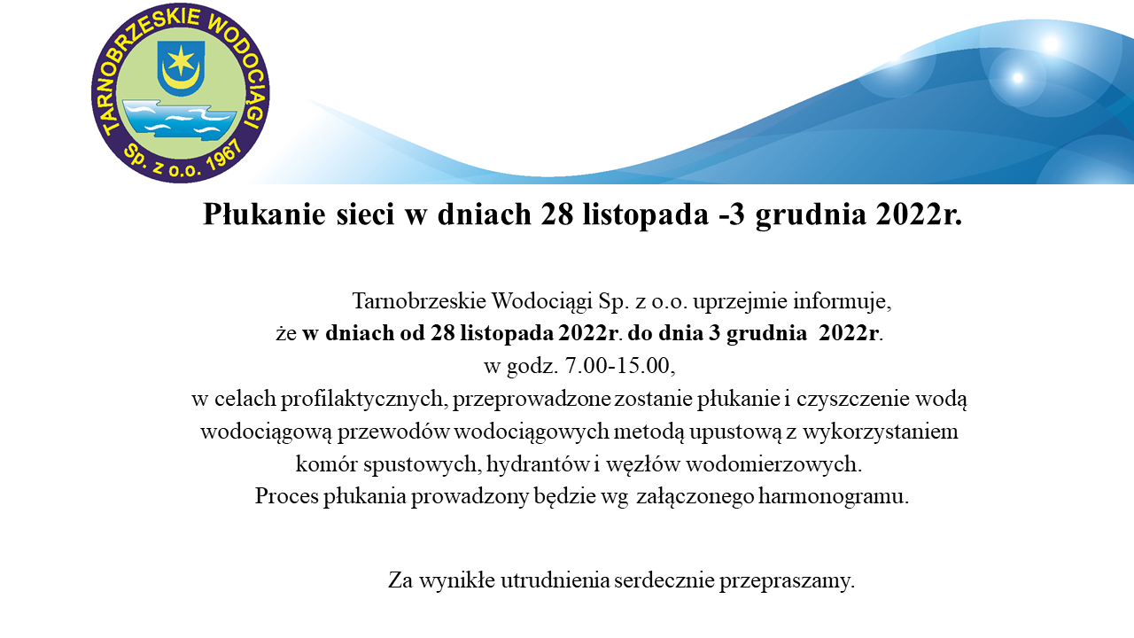 plukanie sieci listopad 2022